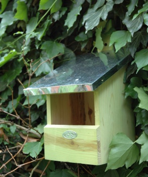 Roodborst nestkast